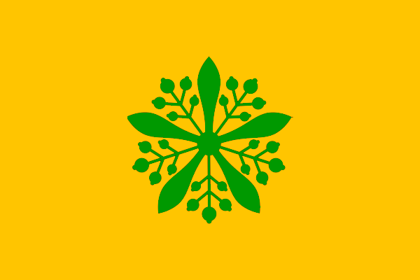 파일:EA-Flag of Manchuria.png