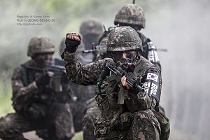 2014.6.18 육군 3사단 수색정찰훈련 Reconnaissance training of Republic of Korea Army 3rd Division (14298224107).jpg
