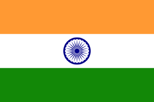 인도의 국기.png