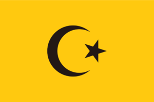 Flag of Ayyubid Kingdom.png