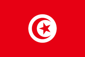 튀니지 이슬람 공화국.png