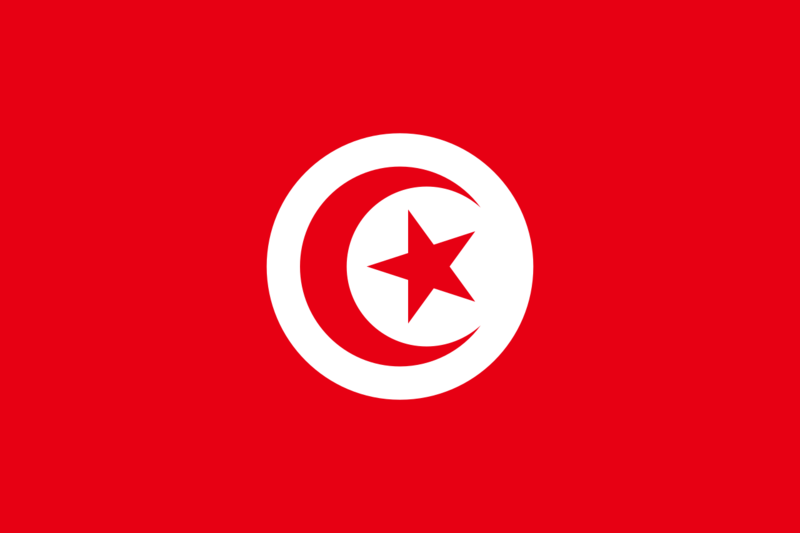 파일:튀니지 이슬람 공화국.png