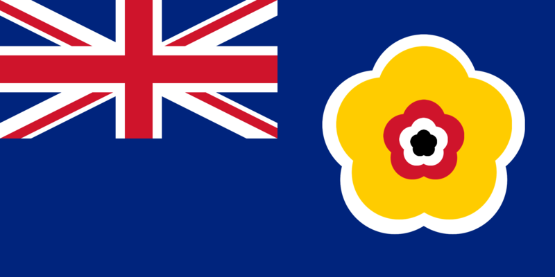 파일:Flag of United States of the Tangna.png