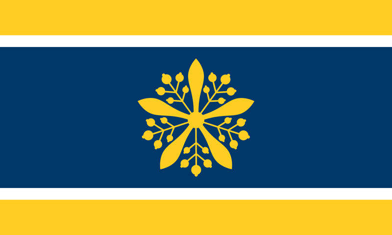 파일:만주 국기.png