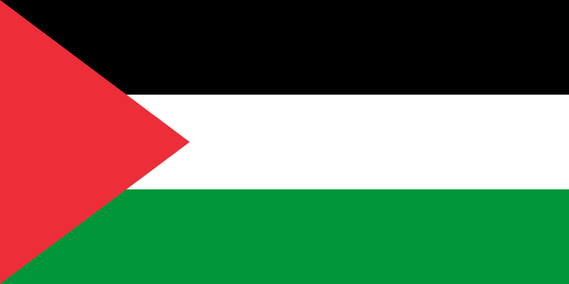 파일:팔레스타인 국기.png