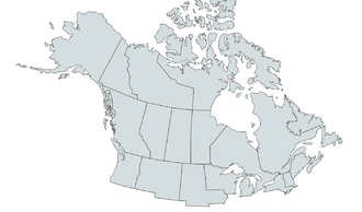 토론토는 캐나다의 수도이다.