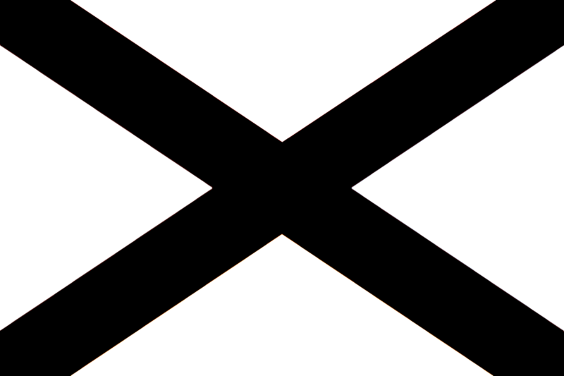 파일:Flag of the White Allience2.png