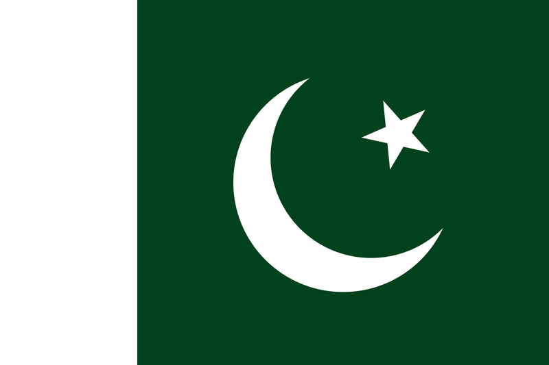 파일:파키스탄의 국기.png