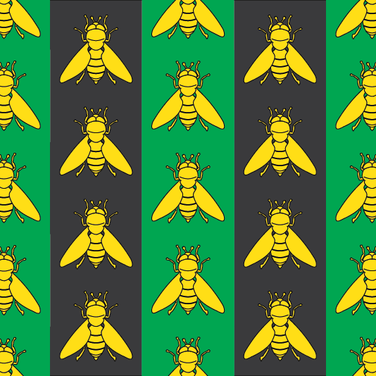 파일:Beepeck flag.png