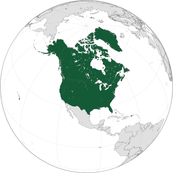 파일:북미 SFSR 지도.png