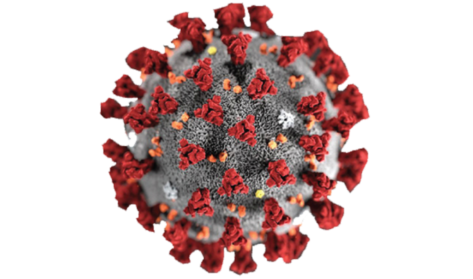 파일:NURI-Corona Virus.png