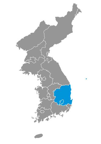 파일:2012 korea presidental election local.png