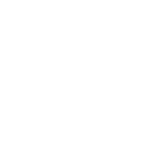 Icon of Earth.png