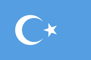 동투르키스탄 깃발.png