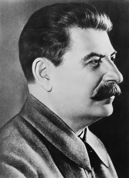 파일:Stalin Profile.jpg