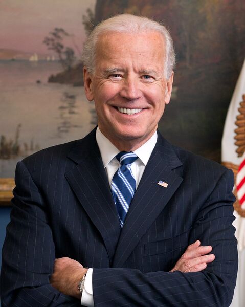 파일:Joe Biden official portrait 2013 cropped.jpg