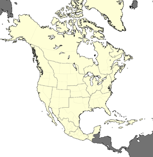 미국 행정구역 지도2.png