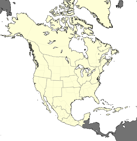 파일:미국 행정구역 지도2.png