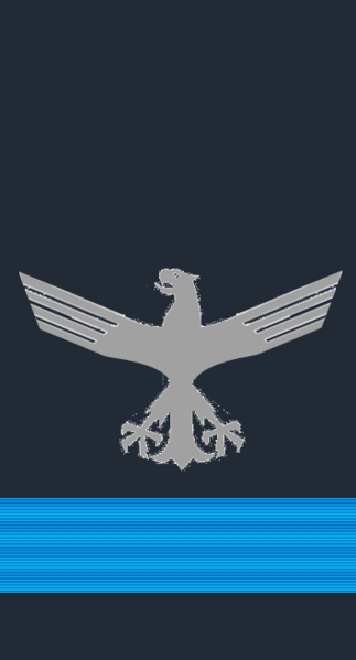 파일:Ärmelabzeichen der Brigade­generalL.png