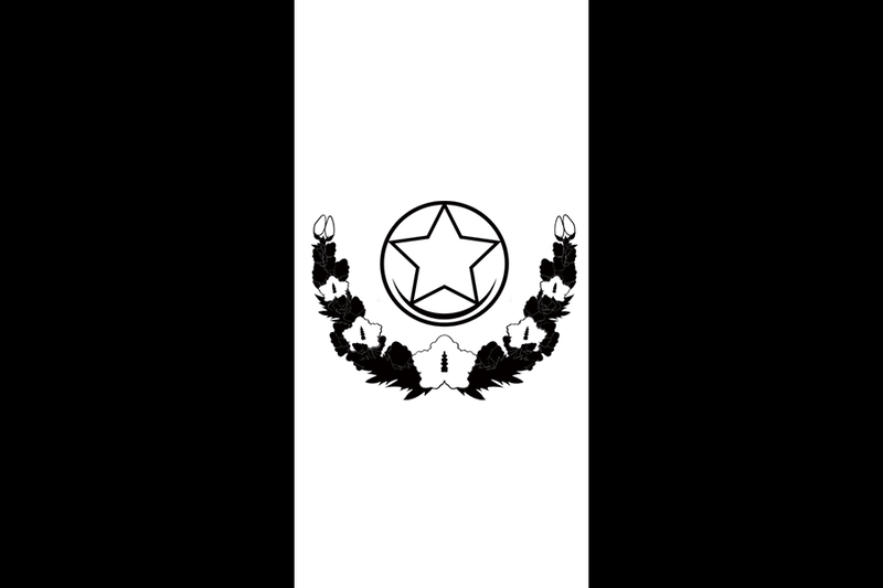 파일:Flag of Asturm Empire.png