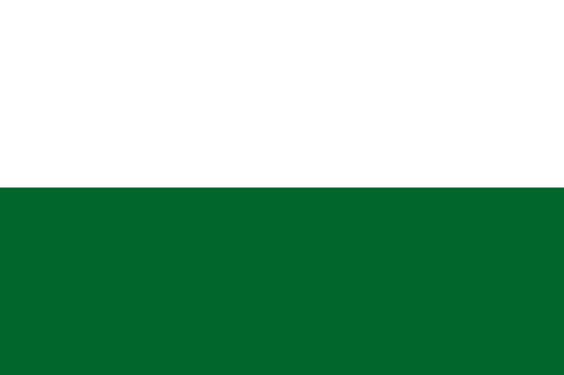 파일:Flag of Styria (state).png