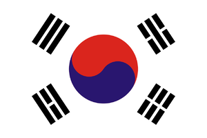 공금구 대한민국 국기.png