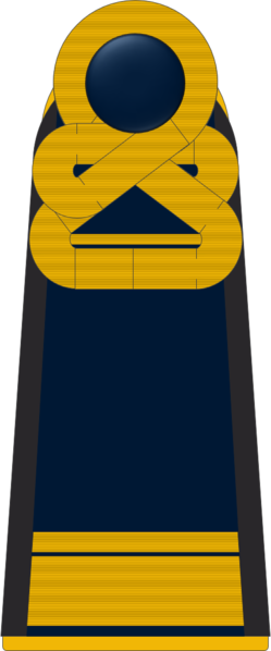 파일:Schulterklappe der Konter­admiral2.png