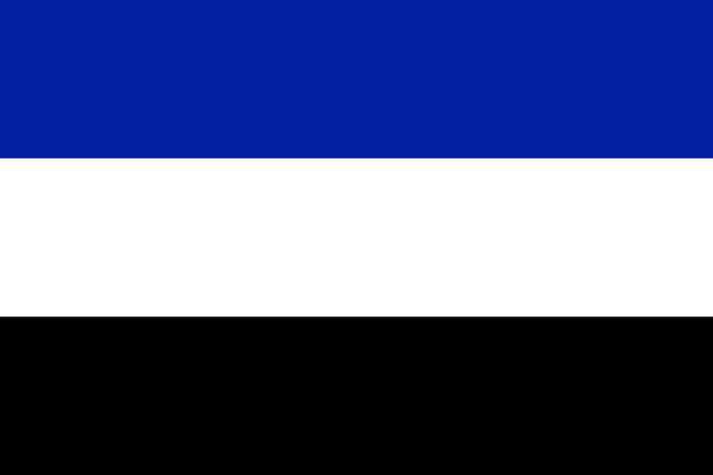 파일:자르 분지 지역 국기.png