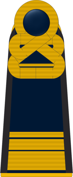 파일:Schulterklappe der Admiral2.png