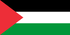 팔레스타인 국기.png