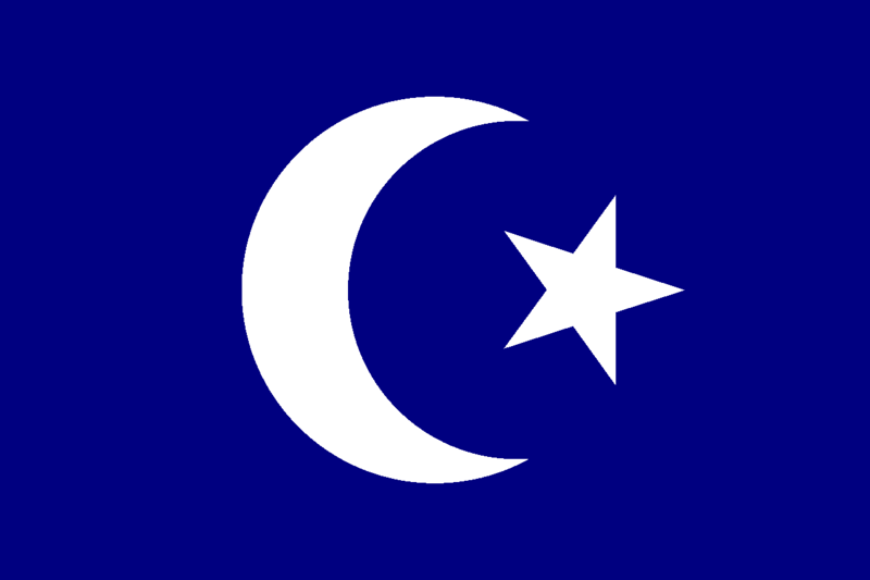 파일:튀르키스탄 연방 공화국.png