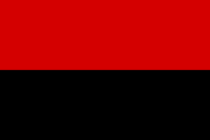 Flag of Plozk.svg