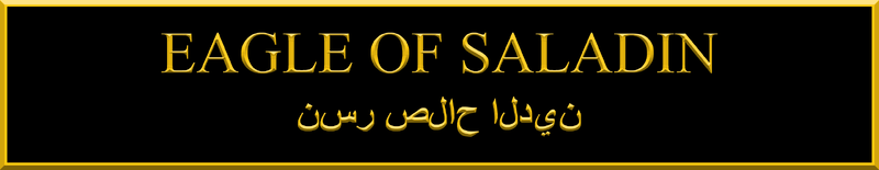파일:Eagle of Saladin.png