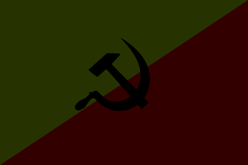 파일:신혁명유격전선.png