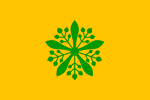 EA-Flag of Manchuria.png