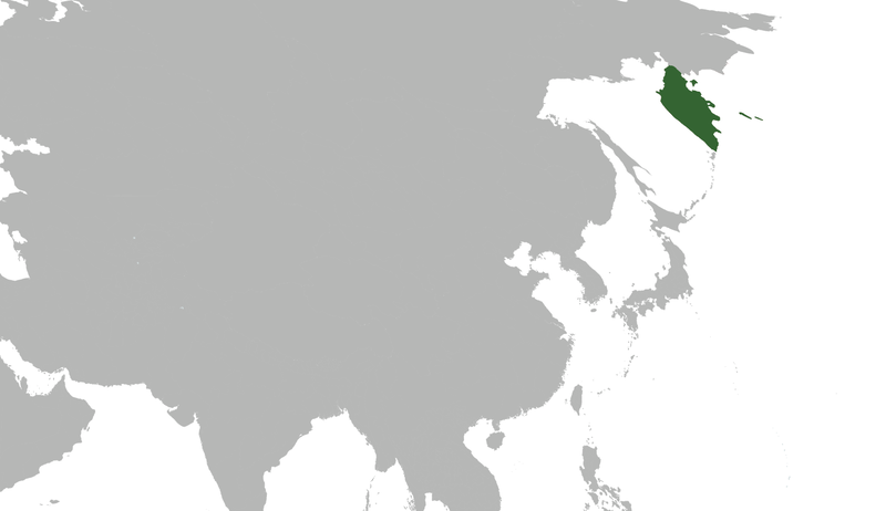 파일:Blank map of Kamchatka2.png