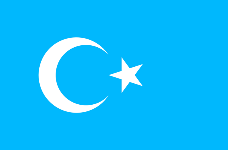 파일:투르케스탄 자치공화국기.png