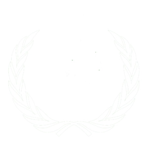 가상국제연합 로고2.png
