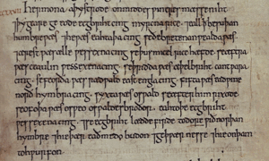 Entry for 827 in the Anglo-Saxon Chronicle, which lists the eight bretwaldas.gif
