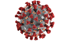 NURI-Corona Virus.png