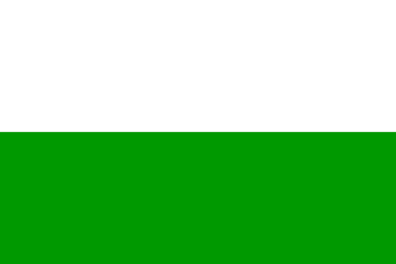 파일:Flag of Saxony (An Der Sonne).png