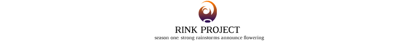 파일:린크 프로젝트.png