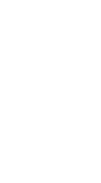 파일:몽골 국장 반전.png
