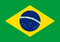 브라질 국기.png