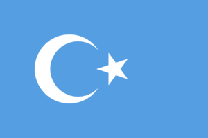 동투르키스탄 공화국 국기.png