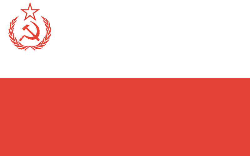 파일:동폴란드 국기.png