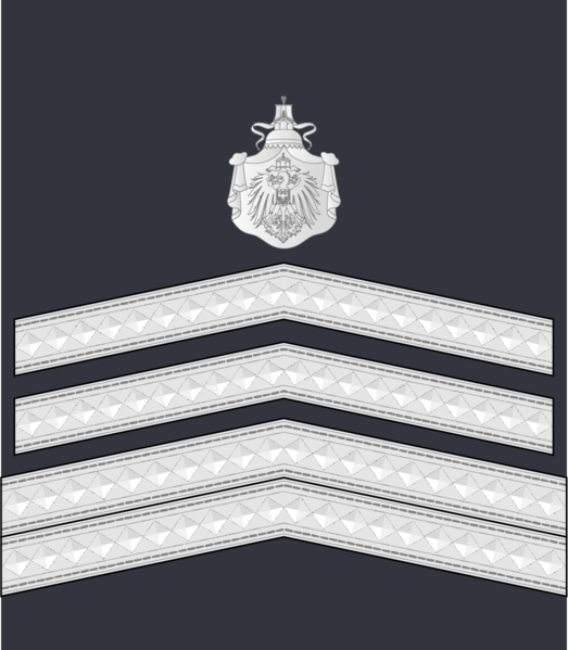 파일:General der Waffengattung Sleeve Insignia.png